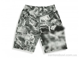 Шорты Денис спорт