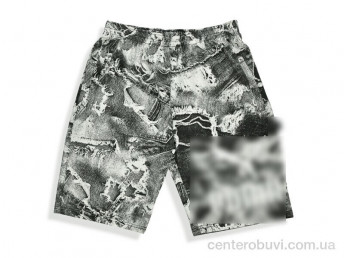 Шорты Денис спорт