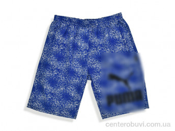 Шорты Денис спорт