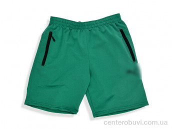 Шорты Денис спорт