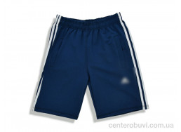 Шорты Денис спорт