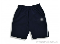 Шорты Денис спорт