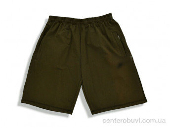 Шорты Денис спорт