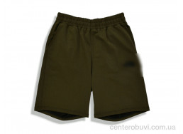 Шорты Денис спорт