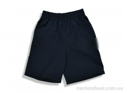 Шорты Денис спорт