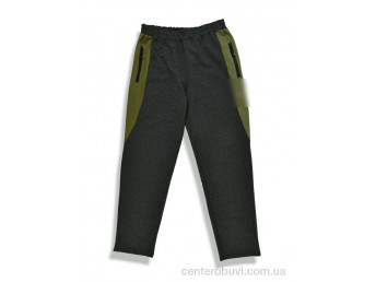 Спортивные брюки Денис спорт