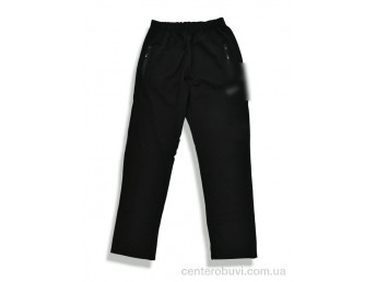 Спортивные брюки Денис спорт