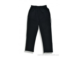 Спортивные брюки Денис спорт