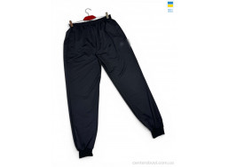 Спортивные брюки Sport style