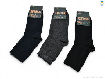 Носки ГС Шкарпетки