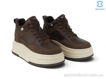 Ботинки Allshoes