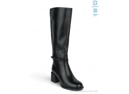 Сапоги Allshoes