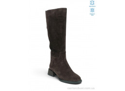 Сапоги Allshoes