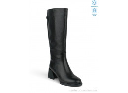 Сапоги Allshoes