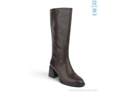 Сапоги Allshoes