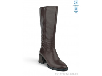 Сапоги Allshoes