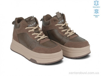 Ботинки Allshoes