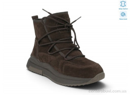 Ботинки Allshoes