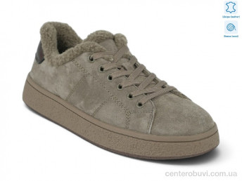 Кроссовки Allshoes