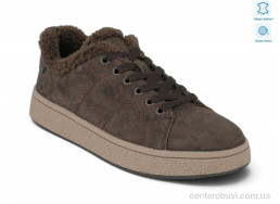 Кроссовки Allshoes