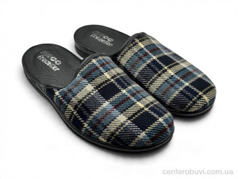 Тапки Rai shoes