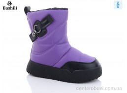 Дутики Башили