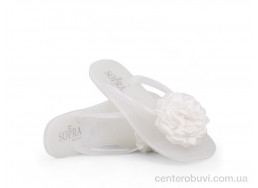 Шлепки Allshoes